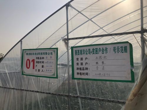 三方協同加碼，以技術轉讓與咨詢助推脫貧攻堅